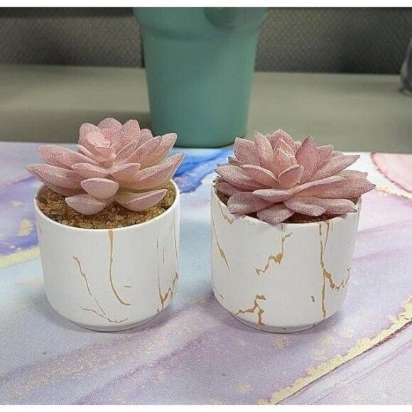 New Artificial Plants and Succulents in 2 White Ceramic Pots,Small Fake Plants - Picture 1 of 1